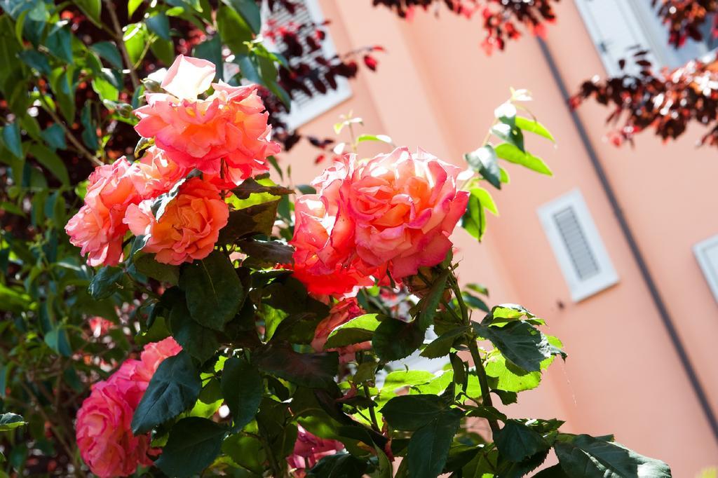 Hotel La Toscana Ареццо Экстерьер фото